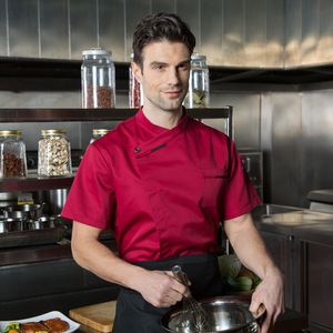 Veste <span class=keywords><strong>de</strong></span> chef légère à manches courtes pour les vêtements <span class=keywords><strong>de</strong></span> <span class=keywords><strong>travail</strong></span> <span class=keywords><strong>de</strong></span> <span class=keywords><strong>cuisine</strong></span> durables à séchage rapide par temps chaud <span class=keywords><strong>en</strong></span> 4 couleurs - Product Image 1