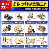 Kit de Manualidades de Madera STEM para Niños, Juguete de Experimentos Científicos DIY, Material Educativo para la Creatividad e Invención en Niños Pequeños