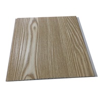 Panneau de gouttière en PVC couleur bois pour extérieur, panneau de plafond de 300 mm de large