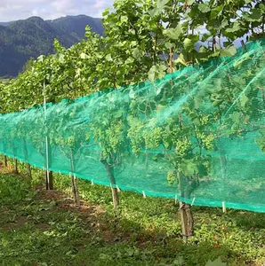 Vineyard Netting Bird Netting Protection Orchard Covering Grape Wine Nets