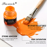 Panwenbo 25 ml 12 Couleurs Peinture Acrylique Non Toxique, Set de Peintures d'Art Professionnel pour Artistes