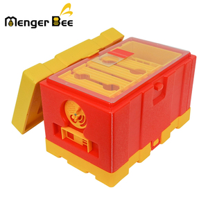 Nueva Caja de Cría de Abejas Reina de 4 Marcos de Plástico HDPE+PP, Mini Caja de Cría de Reinas para Uso en Apicultura, con Diseño Italiano - Product Image 2