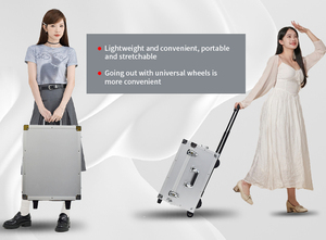 Appareil portable de traitement au laser picoseconde pour l'élimination des tatouages, des grains de beauté et des taches de rousseur, avec conception en valise, pour salons et cliniques - Product Image 4