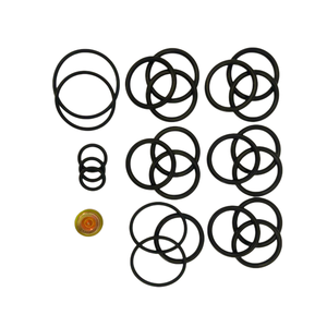 <span class=keywords><strong>Downhole</strong></span> पूरा होने उपकरण मानक और अनुकूलित बेकर 10 Redress किट - Product Image 6