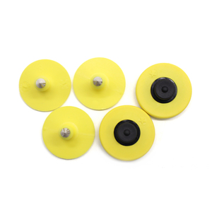 BCE132 petites étiquettes d'oreille agneaux étiquettes d'oreille pour <span class=keywords><strong>identifier</strong></span> les grands <span class=keywords><strong>animaux</strong></span> de la ferme - Product Image 6