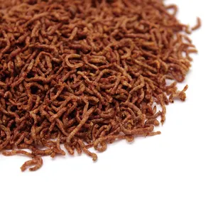 Wholesale Dried Bloodworms with Good Pet Nutrition 