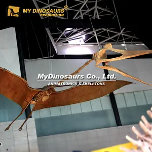 我的恐龙XJ211逼真的大型悬挂恐龙骨架羽蛇雕像
