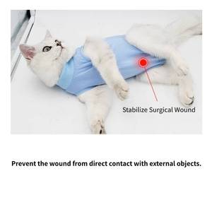 Traje de recuperación para gatos, mono suave posquirúrgico, alternativa al collarín, antisalpicaduras para heridas abdominales por esterilización en gatitos - Product Image 2