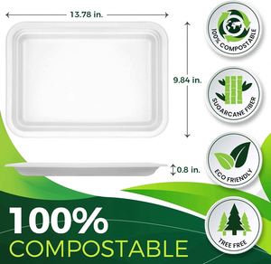 Assiettes jetables en bagasse biodégradables robustes, style minimaliste, tailles 7''-10'', pour boissons, vente en gros usine - Product Image 2