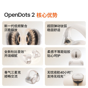 Shokz OpenDots 2 Open-back Bluetooth Earbuds Ear Hook Style IPX4 Waterproof Sports Earphones E320 - Product Image 2
