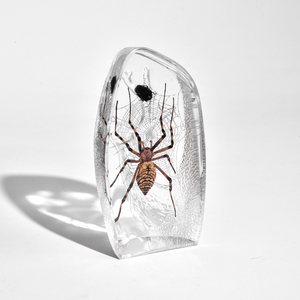 Nieuwste Ontworpen Gletsjerhars Moderne Ambor Presse-Papier Echt Insect Ingekapseld In Door De Mens Gemaakte Amber Eeuwige Kunstwerkgeschenk - Product Image 4