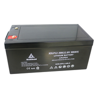 Baterai Ion Litium Keluaran Baru 12 V Perawatan Gratis 12 V 200ah 300ah Baterai Litium Lifepo4 300 Ah
