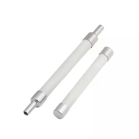 Fusibles de tube de fusible de limitation de courant haute tension d'intérieur RN2-20KV