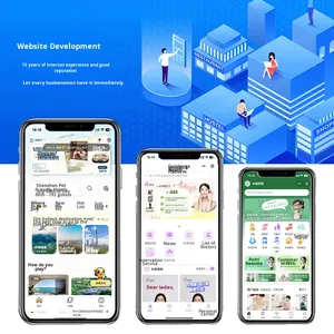 Công ty dịch vụ phát triển và xây dựng web Trung Quốc - Thiết kế trang web chính thức, xây dựng phần mềm, gia công phần mềm - Product Image 1