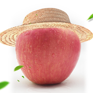 2024 nouvelle <span class=keywords><strong>saison</strong></span> pomme Fuji biologique fraîche pomme Yantai rouge biologique pommes dorées fruits frais - Product Image 1