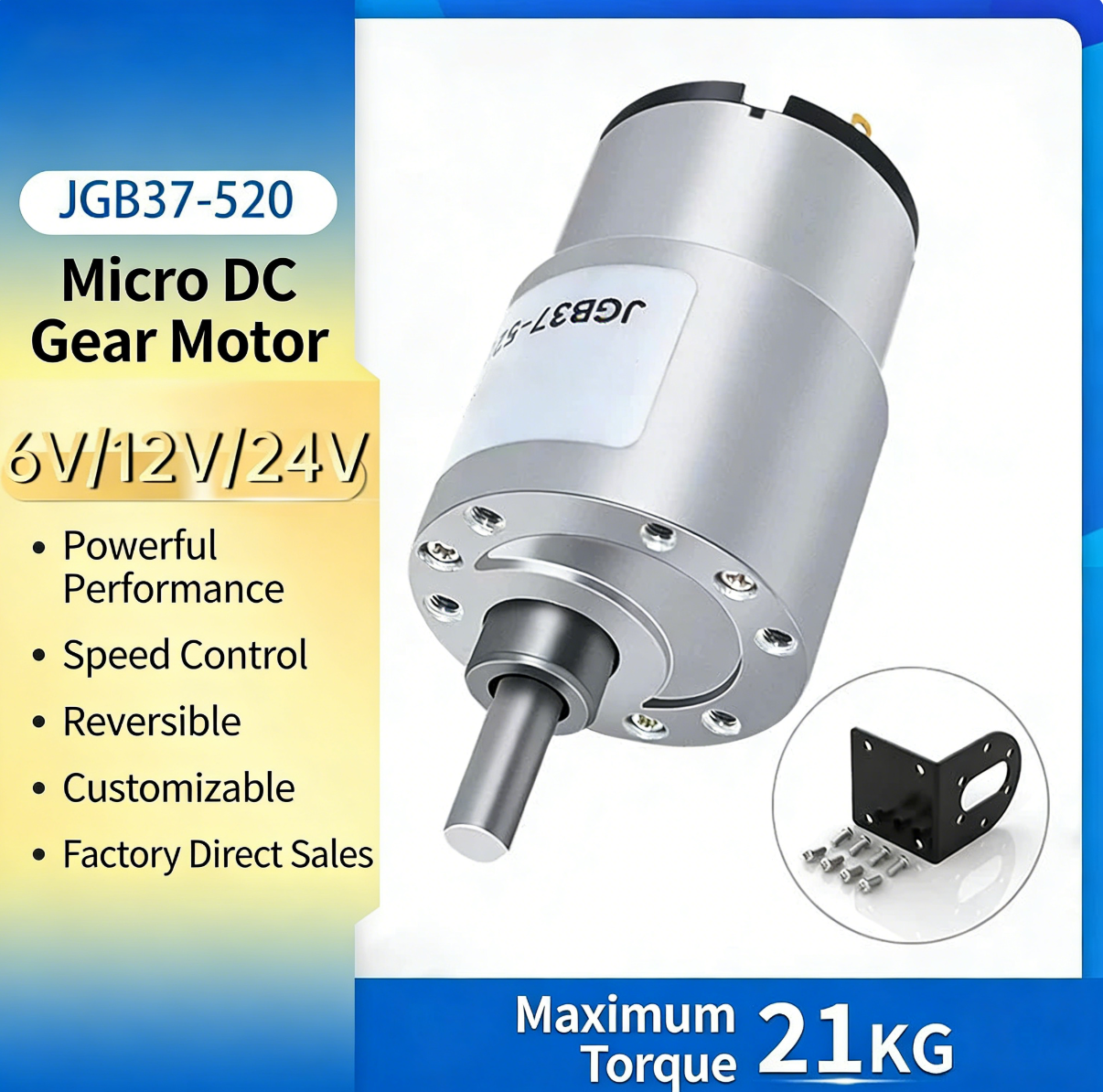 12V Turbine Worm Gear Reduction Motor with Power-off Self-locking DC Reducer Motor Is Used for the Food Processor