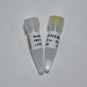 Mezcla Maestra PCR KP - <span class=keywords><strong>2X</strong></span> Hotstart para Genotipificación de SNP/InDel |   GDSBio - Product Image 1