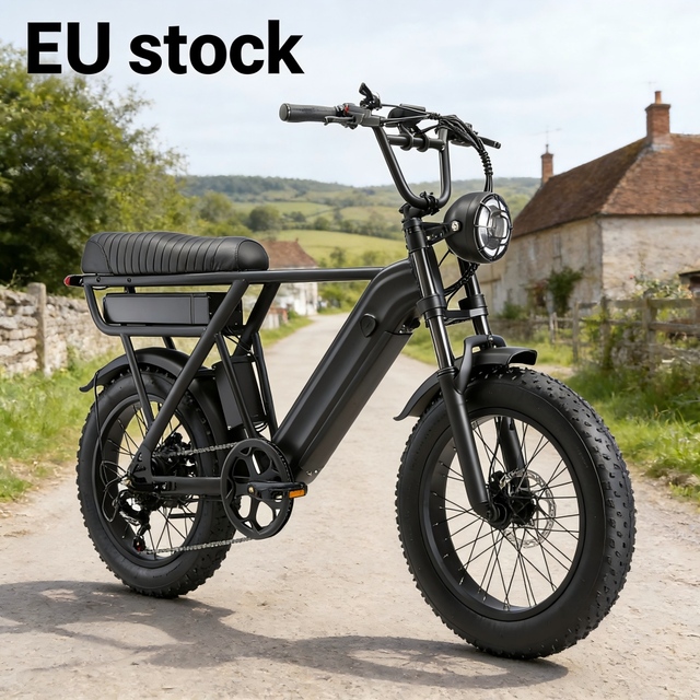 EU Stock Y20 Pro Fat Tire E-Bike 48V 250W 15&20Ah Battery 210km Range Hydraulic Disc Brakes Shimano 7s Electric Bicycle E Bike
