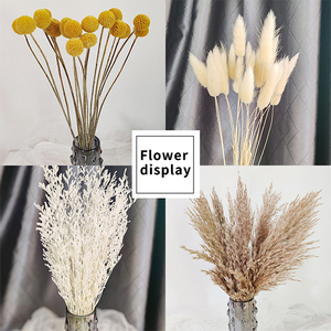 Natural Dried Flower Bouquet with Pampas Grass Bunny Tails Eucalyptus and Craspedia <strong>Billy</strong> Balls for Boho Home Wedding Decoration - Product Image 4