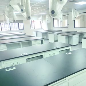 実験装置のベンチ-分析及びテスト装置のための安定した実験室のベンチ。ケーブル管理 & アクセサリーでカスタマイズ可能 - Product Image 3