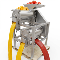 Guavepulp- en passievruchtenpulpmachine, guave-sap- en pulp machine voor papaya-pulpverwerking