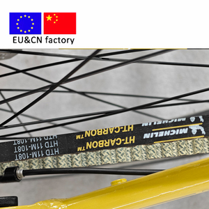 Holland Lady ebike en alliage de 28 pouces vélo électrique urbain pour femme CE ebike Aldut vélo de ville électrique - Product Image 5