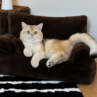 Canapé-lit pour chien et chat en fausse fourrure, rembourrage en fibres, dossier haut, accoudoirs confortables, coussin douillet moderne pour l'hiver, amovible et lavable, pour petits animaux