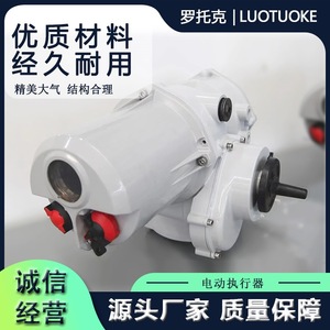 Actionneur électrique Rotork F-TQL60-Z, spécifications complètes, usage industriel - Product Image 3
