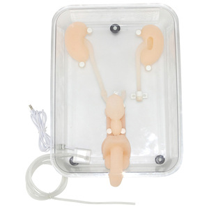 Modelo de Simulación para Entrenamiento en Ureteroscopia - Herramienta de Práctica de Endoscopia del Tracto Urinario para Educación Médica - Product Image 5