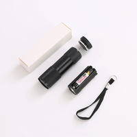 Mini lampe torche en aluminium personnalisée avec logo, lampe torche LED portable avec cordon pour cadeau promotionnel d'entreprise