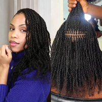 Cheveux Brésiliens Vierge Afro Kinky en Vrac Grand Paquet Cheveux Humains Afro Kinky pour Dreadlocks Tresses Extensions