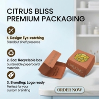Boîtes à sandwich pour hamburgers, contenants alimentaires rectangulaires en papier kraft biodégradable de qualité alimentaire, personnalisables, avec couvercles