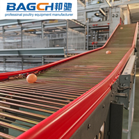 Offre Spéciale : Système d'élevage en batterie de cages à poules pondeuses Bangchi de type H en acier galvanisé à chaud, longue durée de vie, pour la production d'œufs
