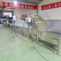 Machine à frire les croustilles entièrement automatique avec coupe trancheuse