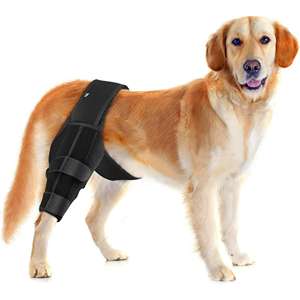 Attelle de genou pour chien pour déchirure du ligament croisé antérieur, pattes arrière, attelle pour pattes arrière de chien, récupération des blessures, manchon de soutien, alternative au bandage, protecteur - Product Image 1