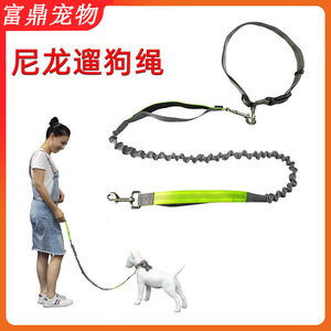 Correa elástica de nailon para perros para deportes al aire libre, cadena para perros, correa reflectante para caminar de noche. - Product Image 5