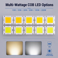 Puce LED COB 200W 100W 50W 30W 20W 10W Modules LED Lampe Carrée Haute Puissance Puce COB pour Projecteur DIY Lumière Inondante