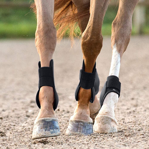 Bottes de <span class=keywords><strong>cheval</strong></span> thérapeutique rapide à l'arrière sur piste, équipement de Protection des tendons <span class=keywords><strong>cheval</strong></span> - Product Image 6