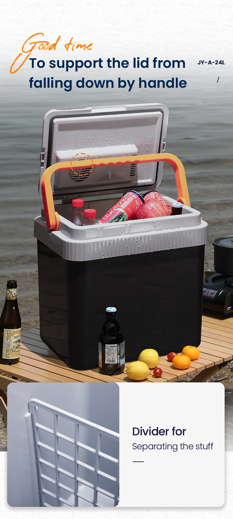 SWANEW Glacière électrique Mini- 230 V/12 V pour camping avec voiture