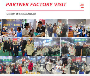 Cortadora de Vinilo Yinghe de Alta Calidad 720J/720D 720cm 2ft de Alta Velocidad Básica Sin Contorno para Pegatinas - Product Image 4