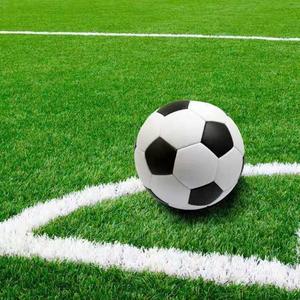 <span class=keywords><strong>Gazon</strong></span> artificiel de football haute densité 18000 points/m² bonne élasticité résistant aux intempéries Club/terrain d'entraînement taille personnalisée - Product Image 1