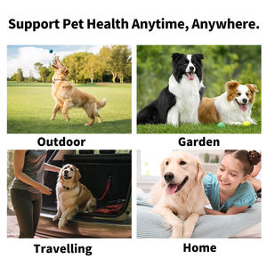 Paquete Neutral <span class=keywords><strong>Cat</strong></span> Pet Producto Toallitas Limpieza de dientes Cuidado dental Toallitas para dedos de mascotas para perros - Product Image 6