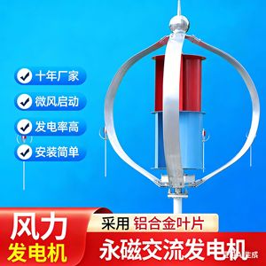 เครื่องกำเนิดไฟฟ้าพลังลมแกนตั้ง 1000W 12V ระบบไฮบริดพลังงานแสงอาทิตย์และลมสำหรับใช้งานกลางแจ้งกำลังสูง - Product Image 2