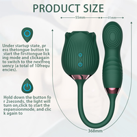 Vibrateur Rose à Succion et Léchage de Langue 10V, Stimulateur de Point G à Poussée, Suceur Clitoridien Vibrant, Jouet Sexuel Médical pour Femmes