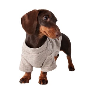 Suéter para Perro Dachshund, Blanco, Poliéster, Cuatro Estaciones, Color Sólido, Ropa para Mascotas - Product Image 5