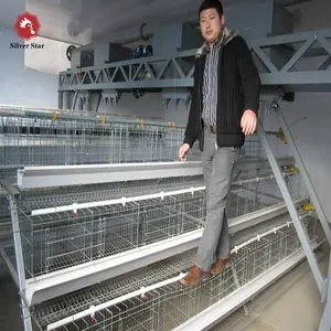 A type poultry cage for laying hens used for poultry farm