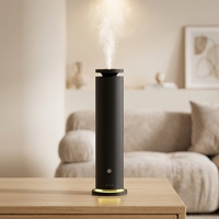 Diffuseur de parfum sans eau silencieux à faible bruit, fabriqué par un fabricant professionnel, conforme aux normes ROHS et FCC, pour maison résidentielle et salle de bain
