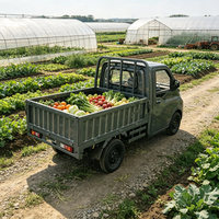 Camions de livraison électriques miniatures à quatre roues de haute qualité, à faible vitesse, avec batterie au lithium, autonomie de 101 à 200 km, adaptés aux zones industrielles