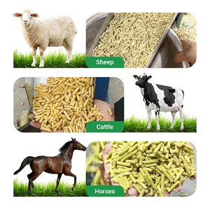 Moulin à granulés d'alimentation en luzerne de haute qualité pour l'alimentation du bétail faisant la machine granulateur à opération facile - Product Image 6