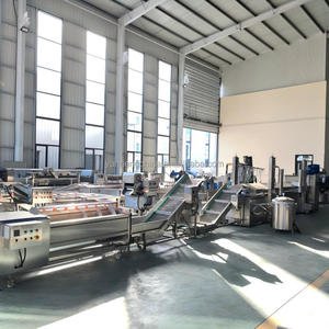Friteuse à pommes de terre entièrement automatique et continue pour frites, chips et autres snacks, avec convoyeur, pour la production de chips Lays - Product Image 4